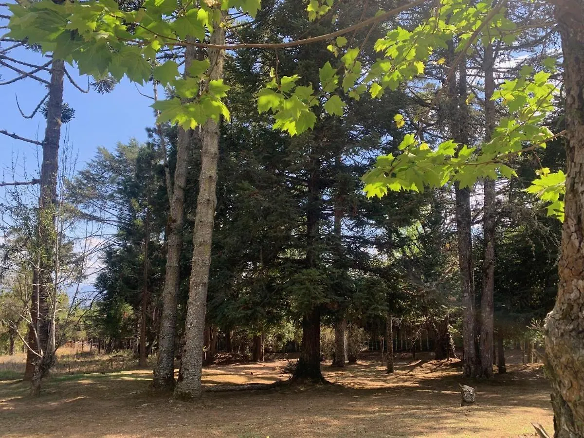 Cabana Da Araucaria Vila Campos do Jordão Chalé